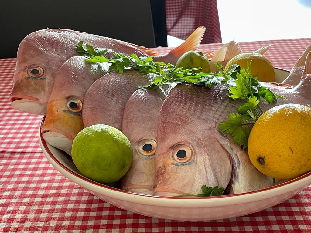 Best Italian restaurant Andreas Italian Cafe Best Italian restaurant Andreas Italian Cafe